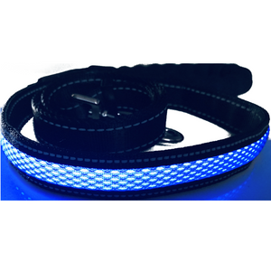 Blue LED Dog Leash with reflective fabric.