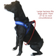 No Choke and less pull LED Dog Harness