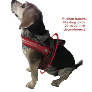 No Choke and less pull LED Dog Harness