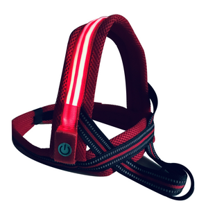 No Choke Dog LED Harness / Collar with maximum comfort for your pup. RED