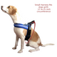 No Choke and less pull LED Dog Harness