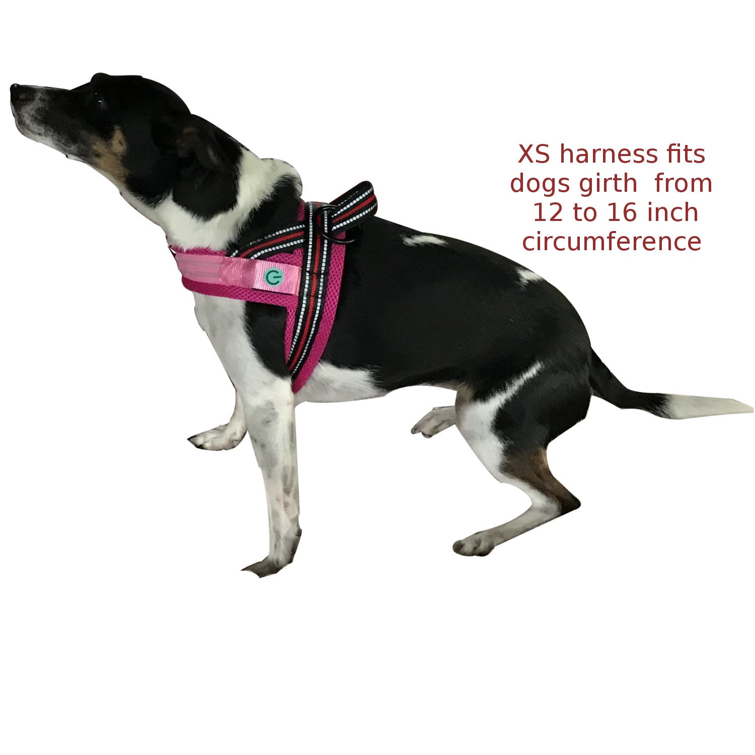 No Choke and less pull LED Dog Harness