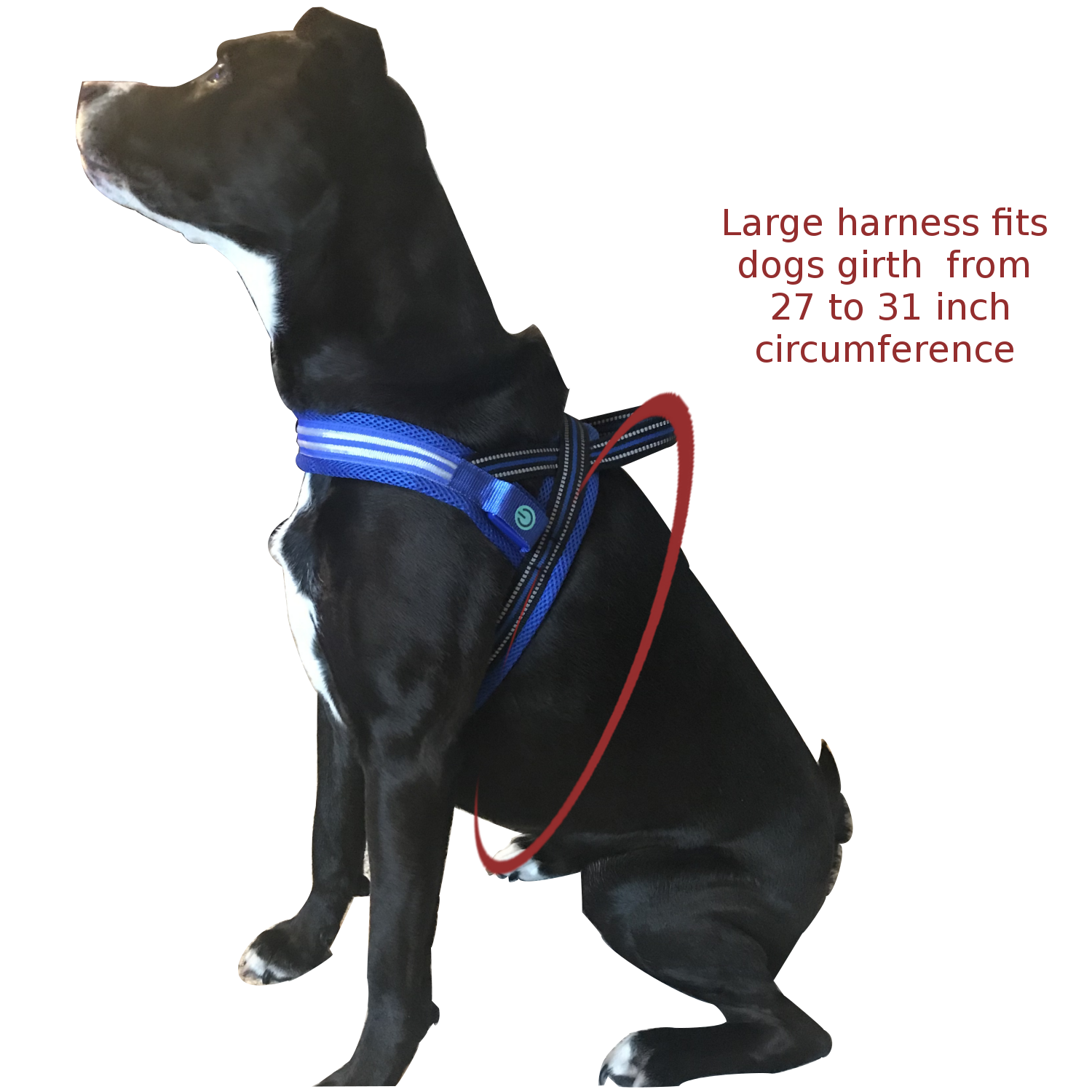 No Choke and less pull LED Dog Harness
