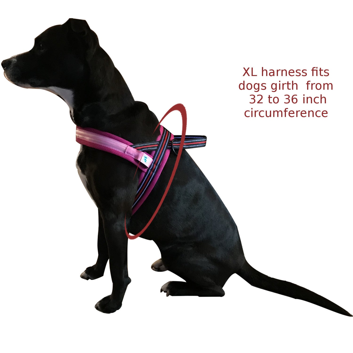 No Choke and less pull LED Dog Harness