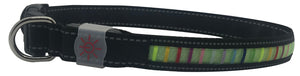 Rainbow Collar with Blue or Red Lights and chargeable via USB