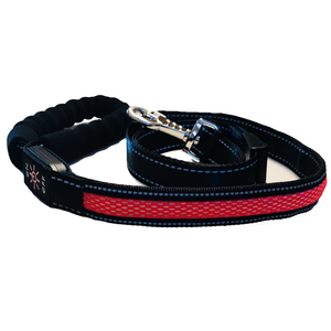 Red LED Dog Leash with reflective fabric.